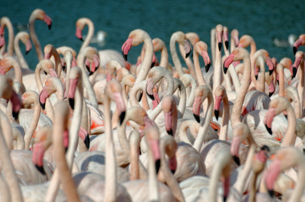 DSC_4464_DxO.jpg DSC_4464_DxO.jpg