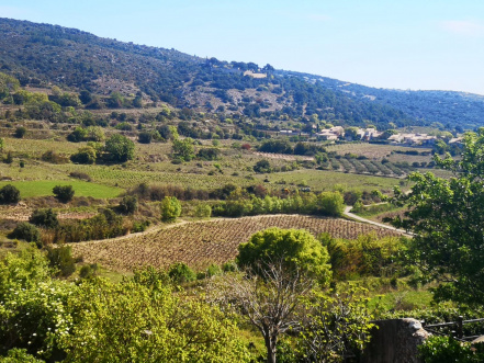 Biodiversite Montpeyroux.jpg Biodiversite Montpeyroux.jpg