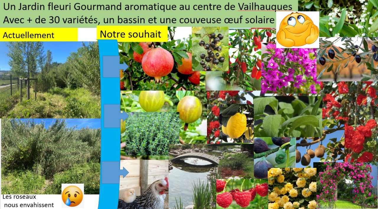 Projet jardin gourmand fleuri.Photo.JPG