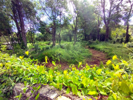 Vue du coin extérieur.jpg