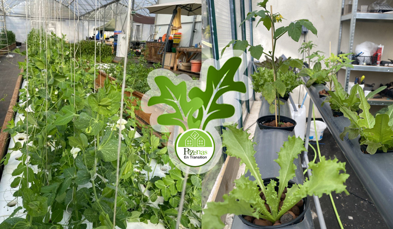 Image d'illustration pour : 35 Mini ferme urbaine, hydroponique, citoyenne et expérimentale.